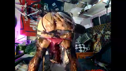 moneyballbaggin online show from 10.15.25