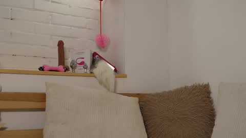 monicaasis online show from 02.17.25