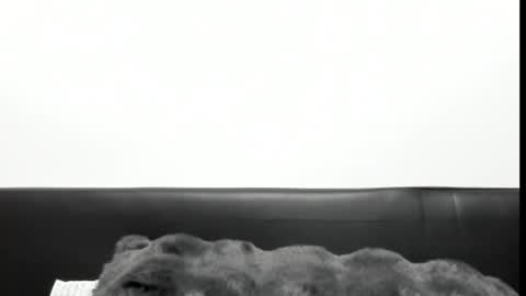 Snapshot of monicacure chatting on 10.27.25 monicacure online show from 10.27.25