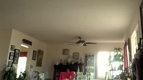 Monkee Dance online show from 01.01.25