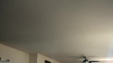 Monkee Dance online show from 01.12.25