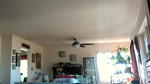 Monkee Dance online show from 01.28.25