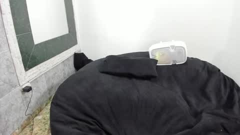 monkeyd_66 online show from 02.18.25