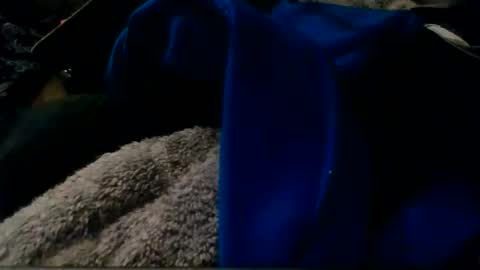 Snapshot of montanacock666 chatting on 11.30.25 montanacock666 online show from 11.30.25