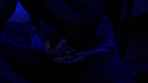 Snapshot of montydxxx2 chatting on 12.17.25 montydxxx2 online show from 12.17.25