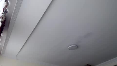 Snapshot of morbidangel08 chatting on 10.29.25 Abelardo online show from 10.29.25