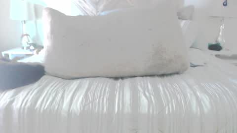 Snapshot of moreofthis chatting on 03.02.26 Didier online show from 03.02.26