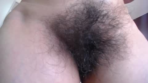 moxa hot online show from 01.15.25