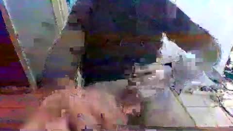 Snapshot of mppempis81 chatting on 11.15.25 mppempis81 online show from 11.15.25