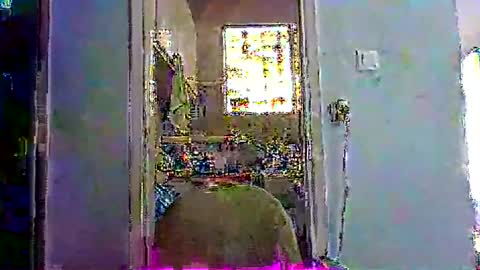 mppempis81 online show from 01.15.26