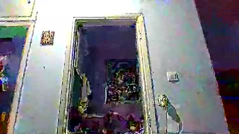 mppempis81 online show from 01.17.26