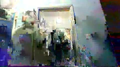 mppempis81 online show from 02.03.26