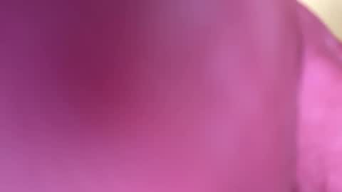 mr6ray online show from 01.08.25