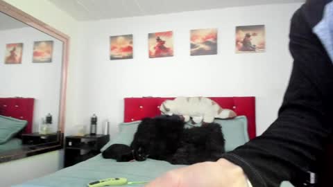 Andy online show from 12.23.24