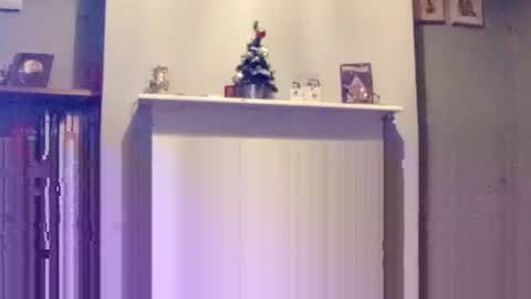 mr_i_ online show from 12.17.24