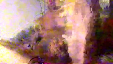 mrkoterz online show from 04.18.26