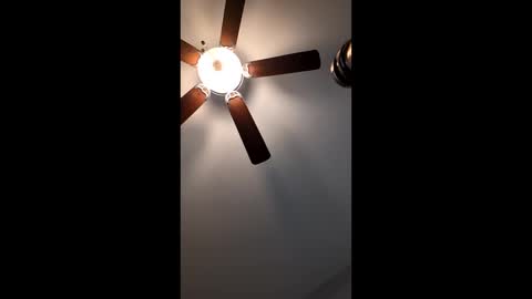 mrorange50187 online show from 01.12.25