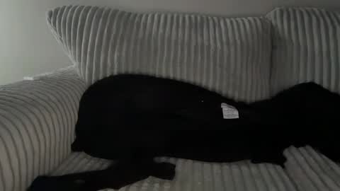 Mr Ryan Voss online show from 12.30.24