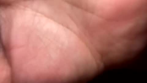 Snapshot of mrshawn95 chatting on 12.16.25 shawn online show from 12.16.25