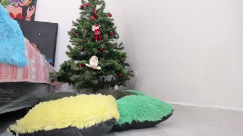 Snapshot of msschloee chatting on 12.11.24 Chloe new account online show from 12.11.24