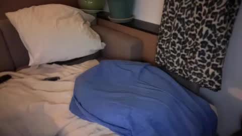 French Brown Cookies online show from 04.18.26