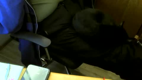 Snapshot of muller520 chatting on 12.29.24 muller520 online show from 12.29.24