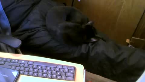 Snapshot of muller520 chatting on 01.16.25 muller520 online show from 01.16.25