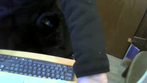 Snapshot of muller520 chatting on 01.22.25 muller520 online show from 01.22.25