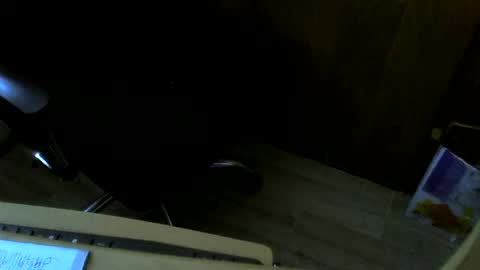 Snapshot of muller520 chatting on 02.01.25 muller520 online show from 02.01.25