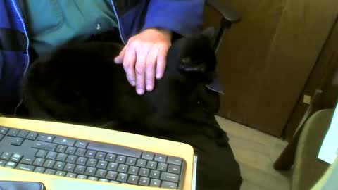Snapshot of muller520 chatting on 02.04.25 muller520 online show from 02.04.25
