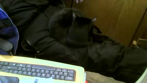 Snapshot of muller520 chatting on 02.12.25 muller520 online show from 02.12.25