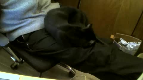 Snapshot of muller520 chatting on 02.19.25 muller520 online show from 02.19.25
