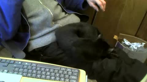 Snapshot of muller520 chatting on 02.21.25 muller520 online show from 02.21.25