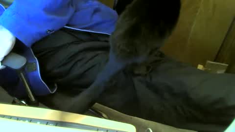 Snapshot of muller520 chatting on 02.23.25 muller520 online show from 02.23.25