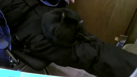 Snapshot of muller520 chatting on 02.26.25 muller520 online show from 02.26.25
