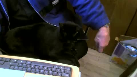 Snapshot of muller520 chatting on 02.27.25 muller520 online show from 02.27.25