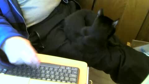 Snapshot of muller520 chatting on 03.02.25 muller520 online show from 03.02.25
