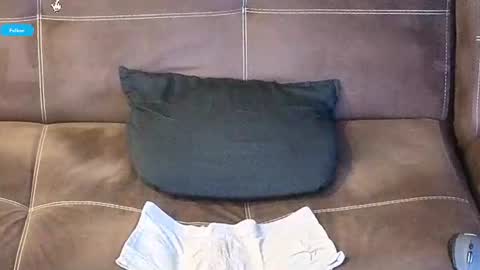 mushroomcouch online show from 06.15.26