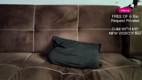 mushroomcouch online show from 06.27.26