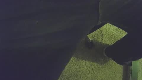 musicman2021 online show from 04.04.26