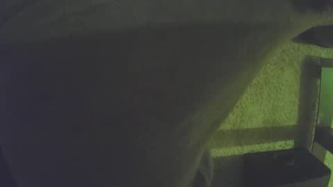 musicman2021 online show from 04.05.26