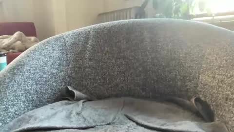 muslgut online show from 03.09.25