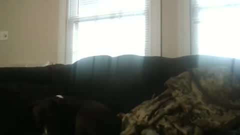 my_banana_creampies online show from 02.19.26