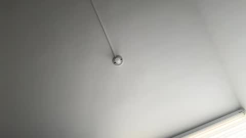 jacke BUNNY online show from 03.12.25