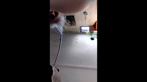 Mynutts online show from 12.16.25