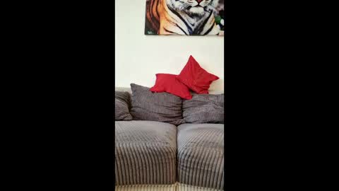 Snapshot of myrostus chatting on 03.04.26 myrostus online show from 03.04.26