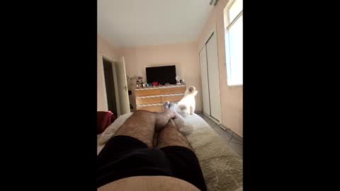 mysterbearmg online show from 09.27.25