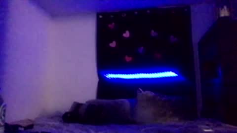 Missbellaaaxox online show from 02.15.26