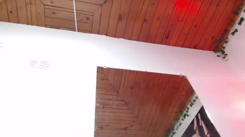 Snapshot of naia_x chatting on 02.04.25 Naia x online show from 02.04.25