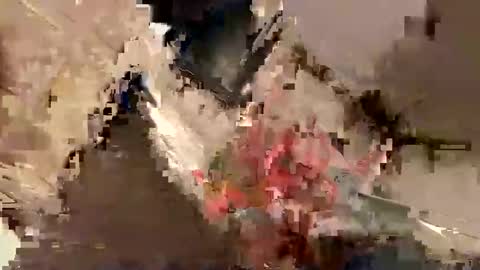 nairda2senoniuq online show from 12.22.24